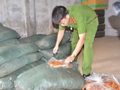 Ảnh bìa bài viết 378983