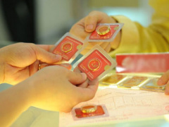 Ảnh bìa bài viết 378766