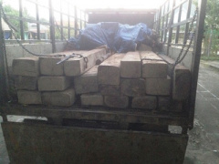 Ảnh bìa bài viết 378976