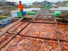 Ảnh bìa bài viết 378760