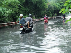 Ảnh bìa bài viết 379129