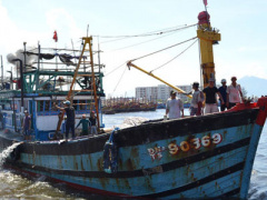 Ảnh bìa bài viết 379105