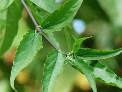 Ảnh bìa bài viết 379177