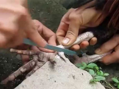 Ảnh bìa bài viết 379318