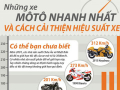 Ảnh bìa bài viết 379460