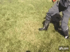 Ảnh bìa bài viết 379421