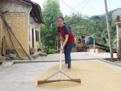 Ảnh bìa bài viết 379317