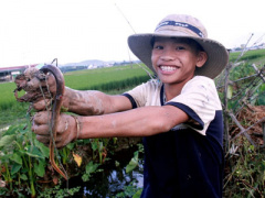 Ảnh bìa bài viết 379700