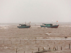 Ảnh bìa bài viết 380168