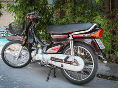 Ảnh bìa bài viết 379959