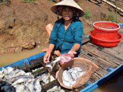 Ảnh bìa bài viết 380175