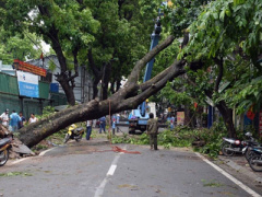 Ảnh bìa bài viết 380422
