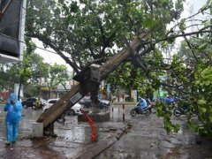 Ảnh bìa bài viết 380337