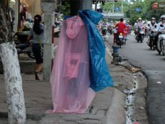 Ảnh bìa bài viết 380213