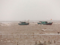 Ảnh bìa bài viết 380200
