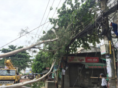 Ảnh bìa bài viết 380437