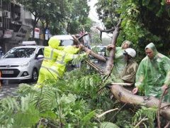 Ảnh bìa bài viết 380349