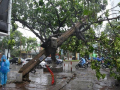Ảnh bìa bài viết 380455