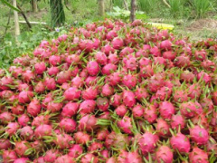 Ảnh bìa bài viết 380600