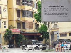 Ảnh bìa bài viết 380895