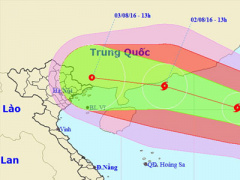 Ảnh bìa bài viết 381003