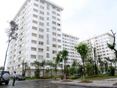 Ảnh bìa bài viết 381019