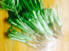 Ảnh bìa bài viết 381264