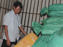 Ảnh bìa bài viết 381347