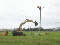 Ảnh bìa bài viết 381223