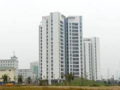Ảnh bìa bài viết 381228