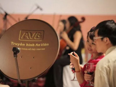 Ảnh bìa bài viết 381330