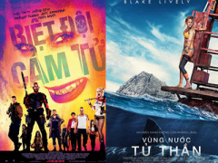 Ảnh bìa bài viết 381427