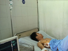 Ảnh bìa bài viết 381534