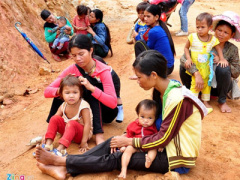 Ảnh bìa bài viết 381418