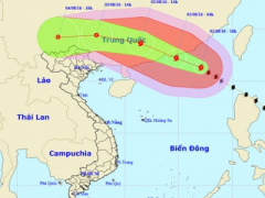 Ảnh bìa bài viết 381380