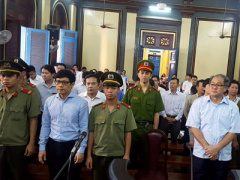 Ảnh bìa bài viết 381648
