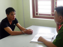 Ảnh bìa bài viết 381566