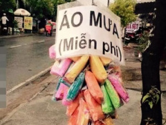 Ảnh bìa bài viết 381839