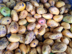 Ảnh bìa bài viết 381795