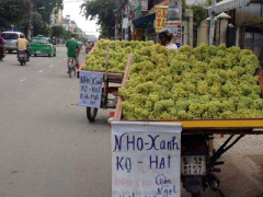 Ảnh bìa bài viết 381671