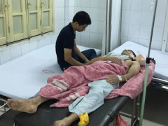 Ảnh bìa bài viết 382130
