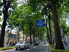 Ảnh bìa bài viết 382448