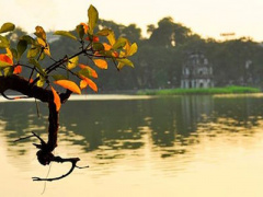 Ảnh bìa bài viết 382491