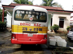 Ảnh bìa bài viết 382488