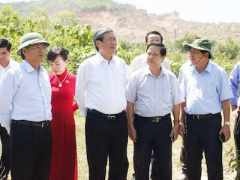 Ảnh bìa bài viết 382477