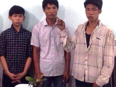Ảnh bìa bài viết 382469