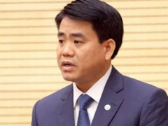 Ảnh bìa bài viết 382618