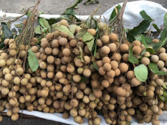 Ảnh bìa bài viết 382628