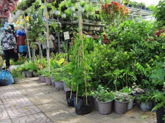 Ảnh bìa bài viết 382701