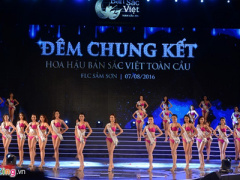 Ảnh bìa bài viết 382830